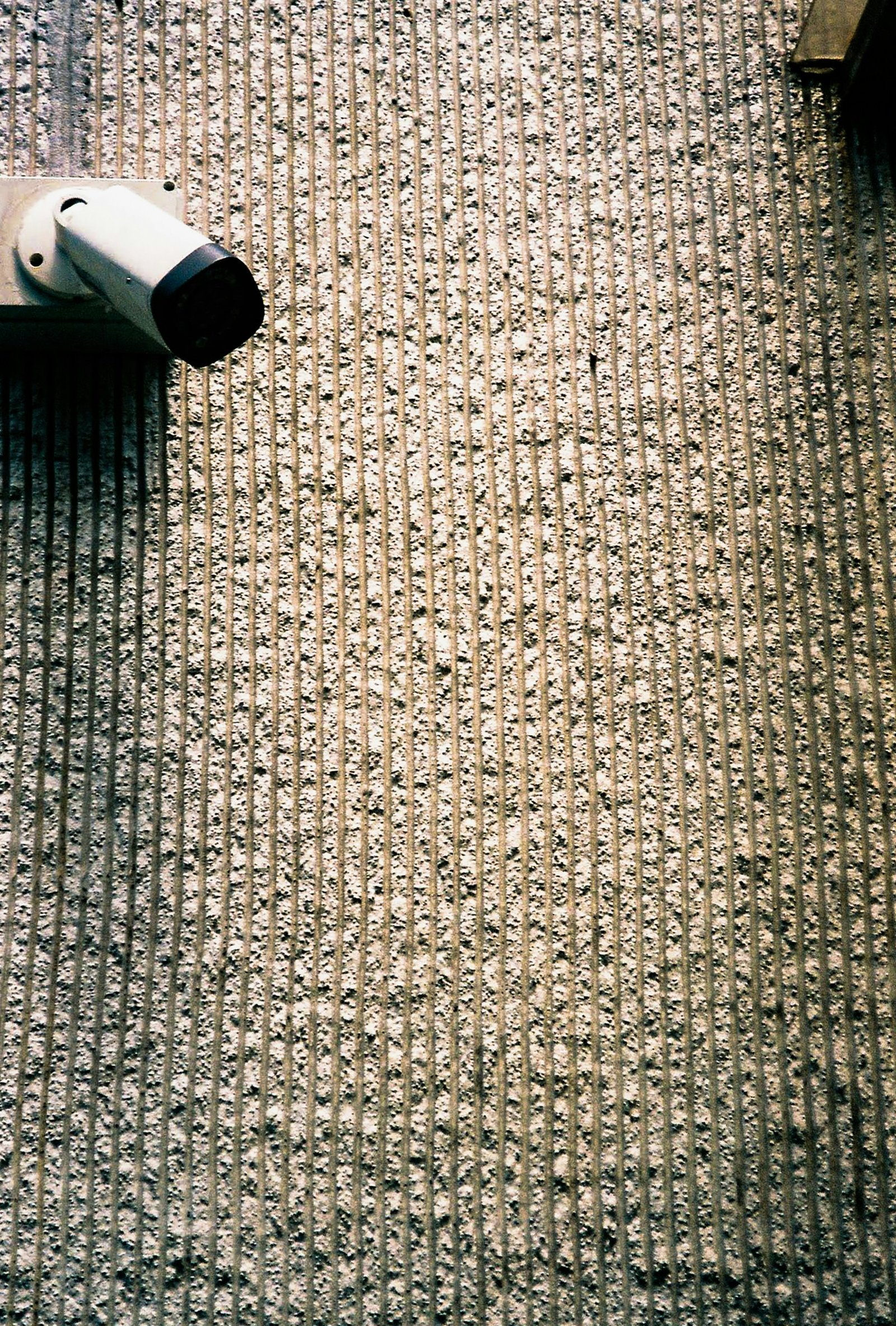 Carpet 1